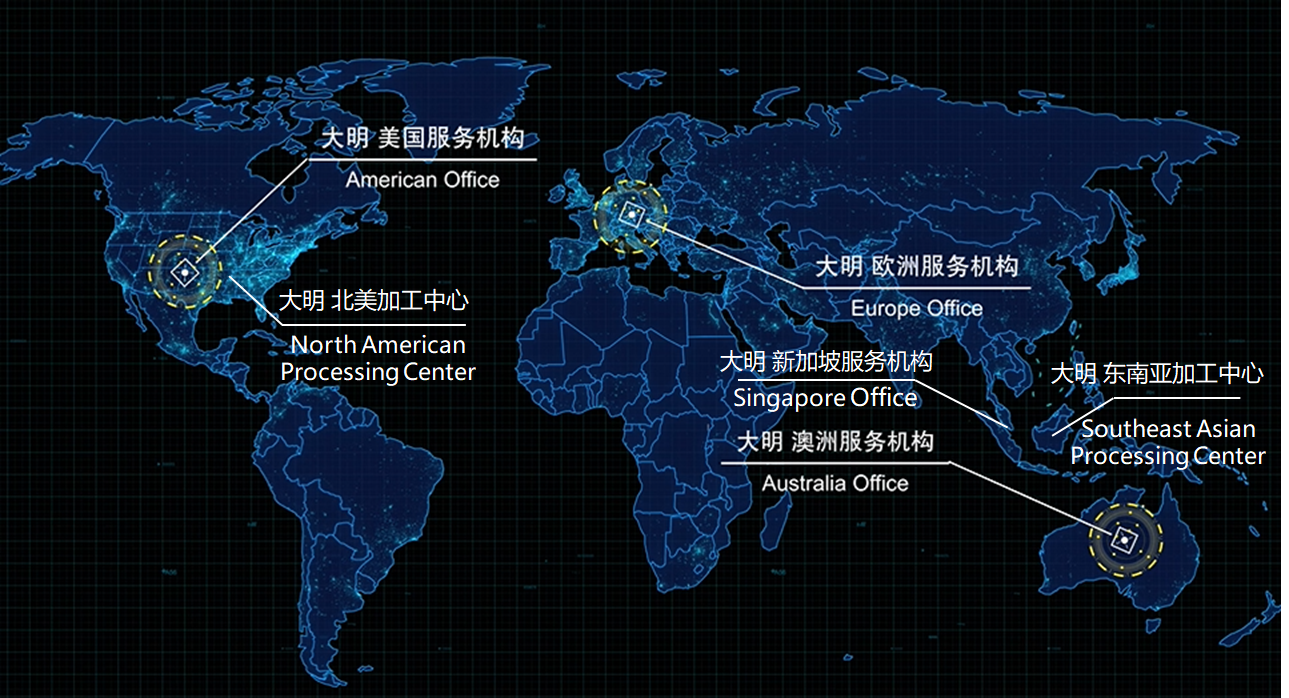 DAMING Overseas Programs | Global Metal Processing Services