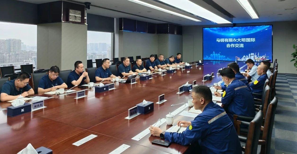 Daming International Visits Maanshan Iron Steel