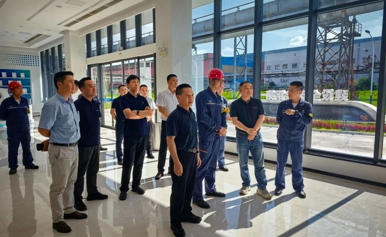 Daming International Visits Wuhan Iron Steel