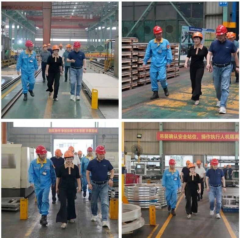 Guangxi BG New Materials Madam Chairman Zhou Zhuoli Visits Daming ...