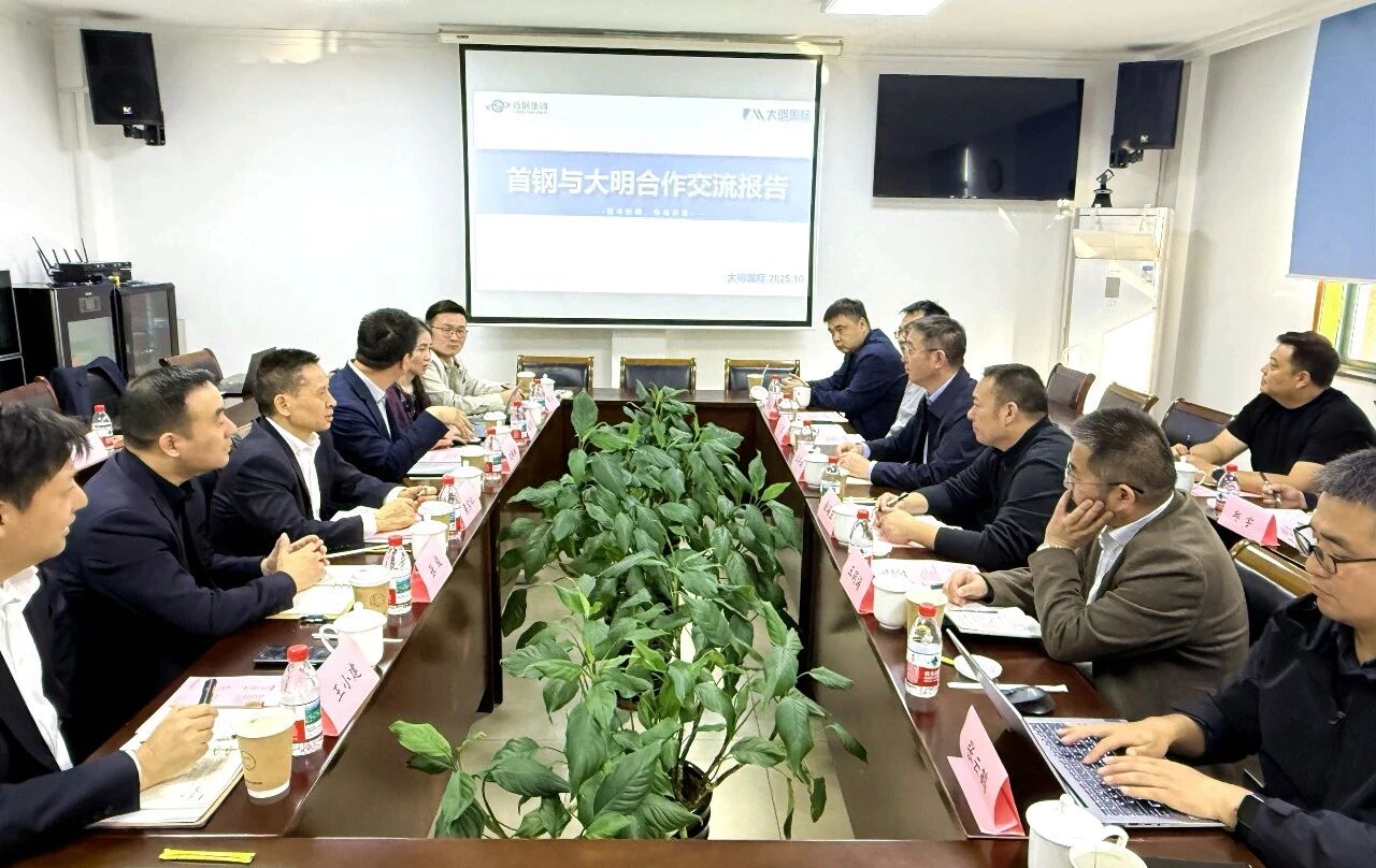 Shougang Group Meeting With Daming International