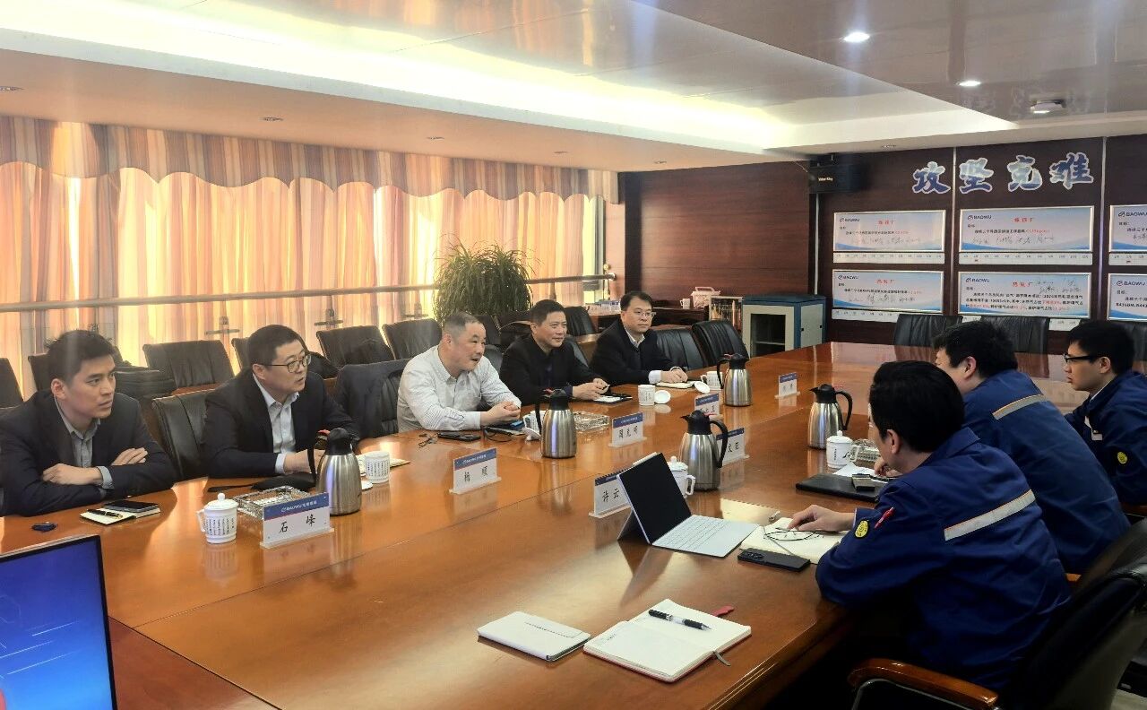 Daming and Baosteel Having In depth Exchange 2