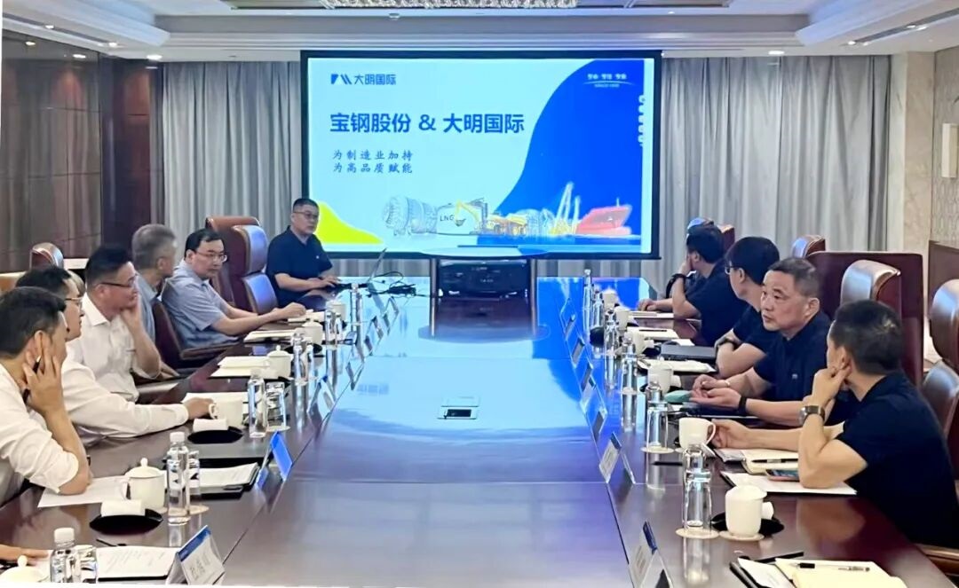 Daming International and Baosteel exchange views on future cooperation Daming International and Baosteel exchange views on future cooperation